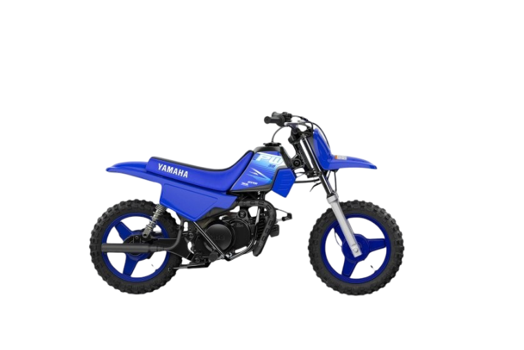 2027 PW50