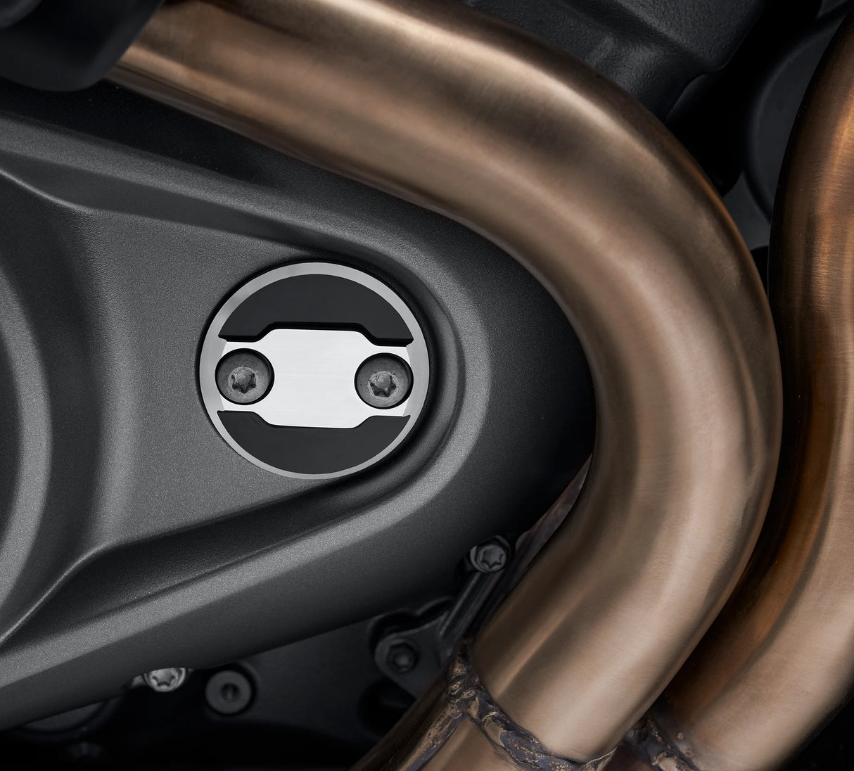 Harley-Davidson Wild One Timer Medallion