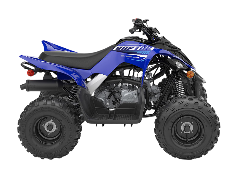 Raptor 110