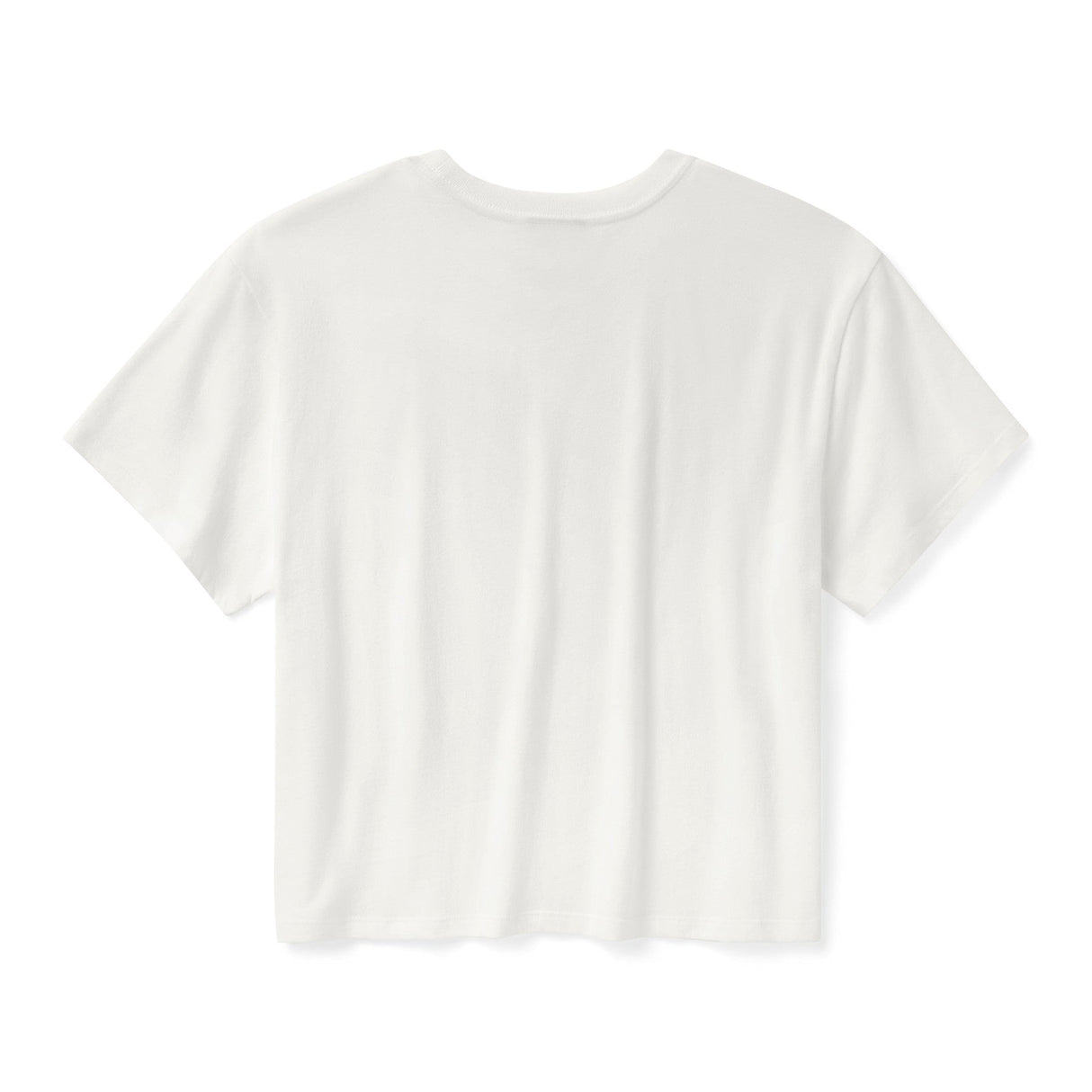 White t-shirt on a white background