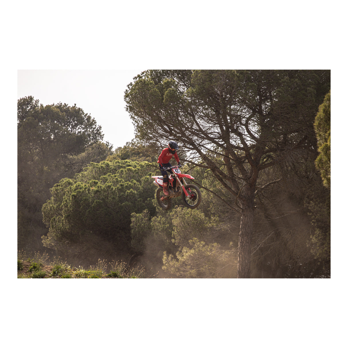 LS2 MX703 X-Force Carbon (FIM 02) - Matte Carbon