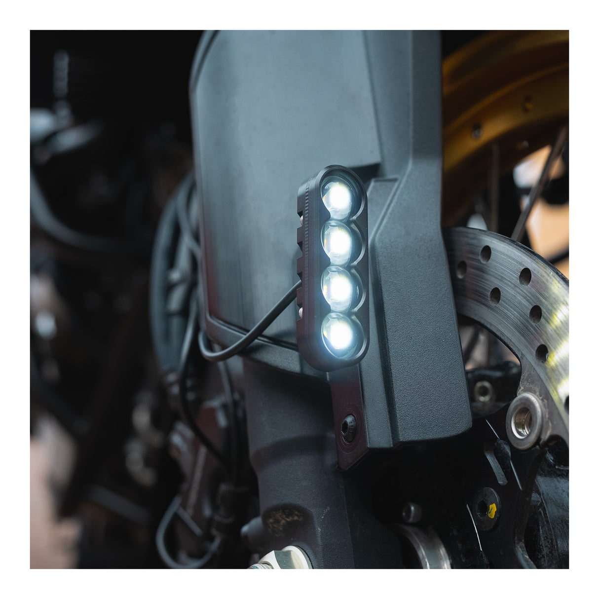 Oxford Strip Light