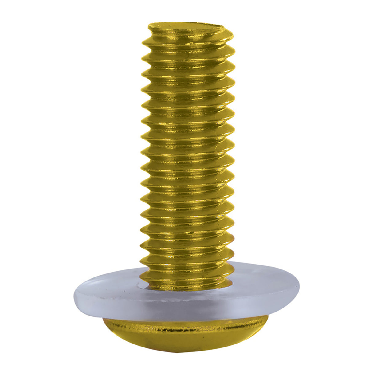 Oxford Screen Screws - Gold