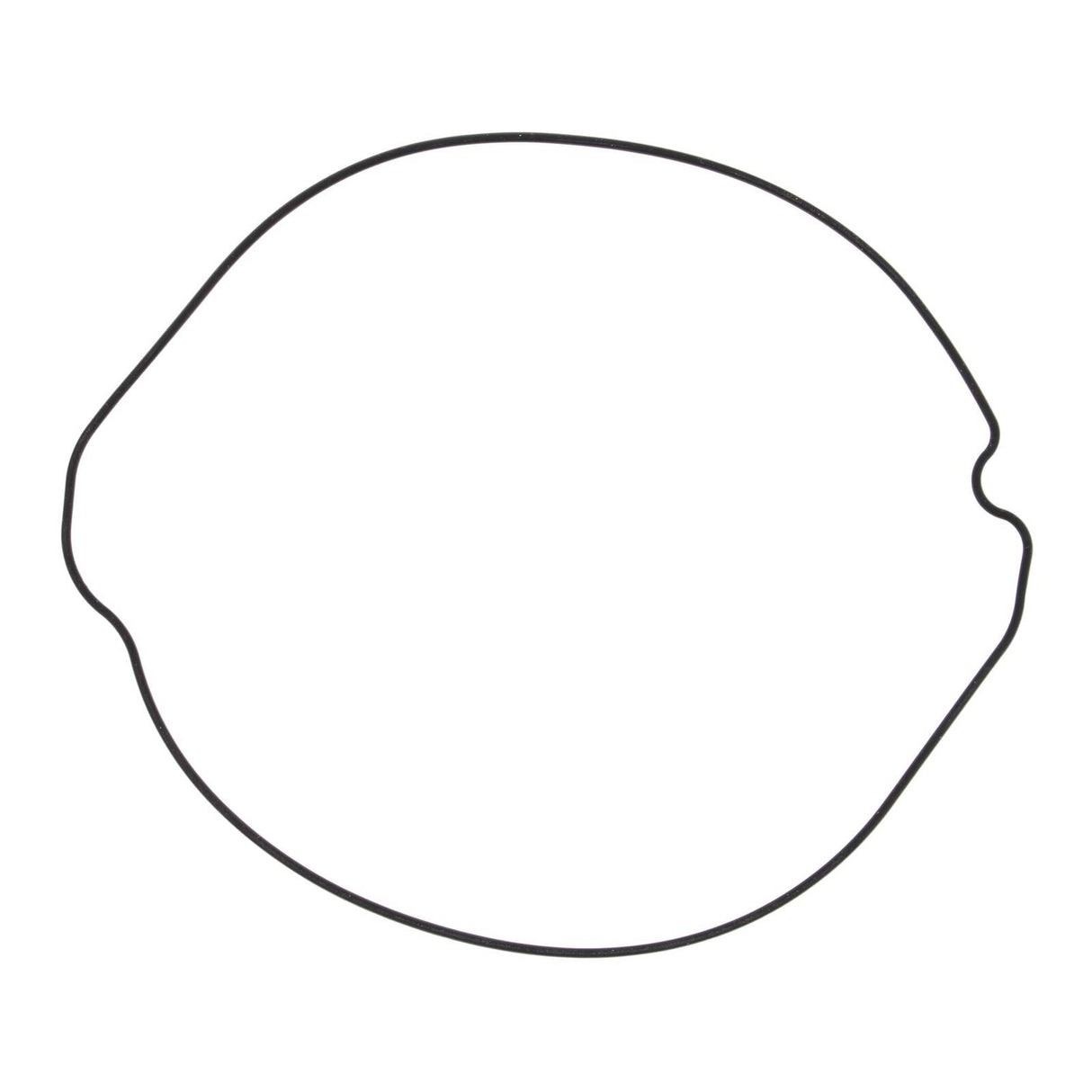 Outer Clutch Gasket Kit 817253
