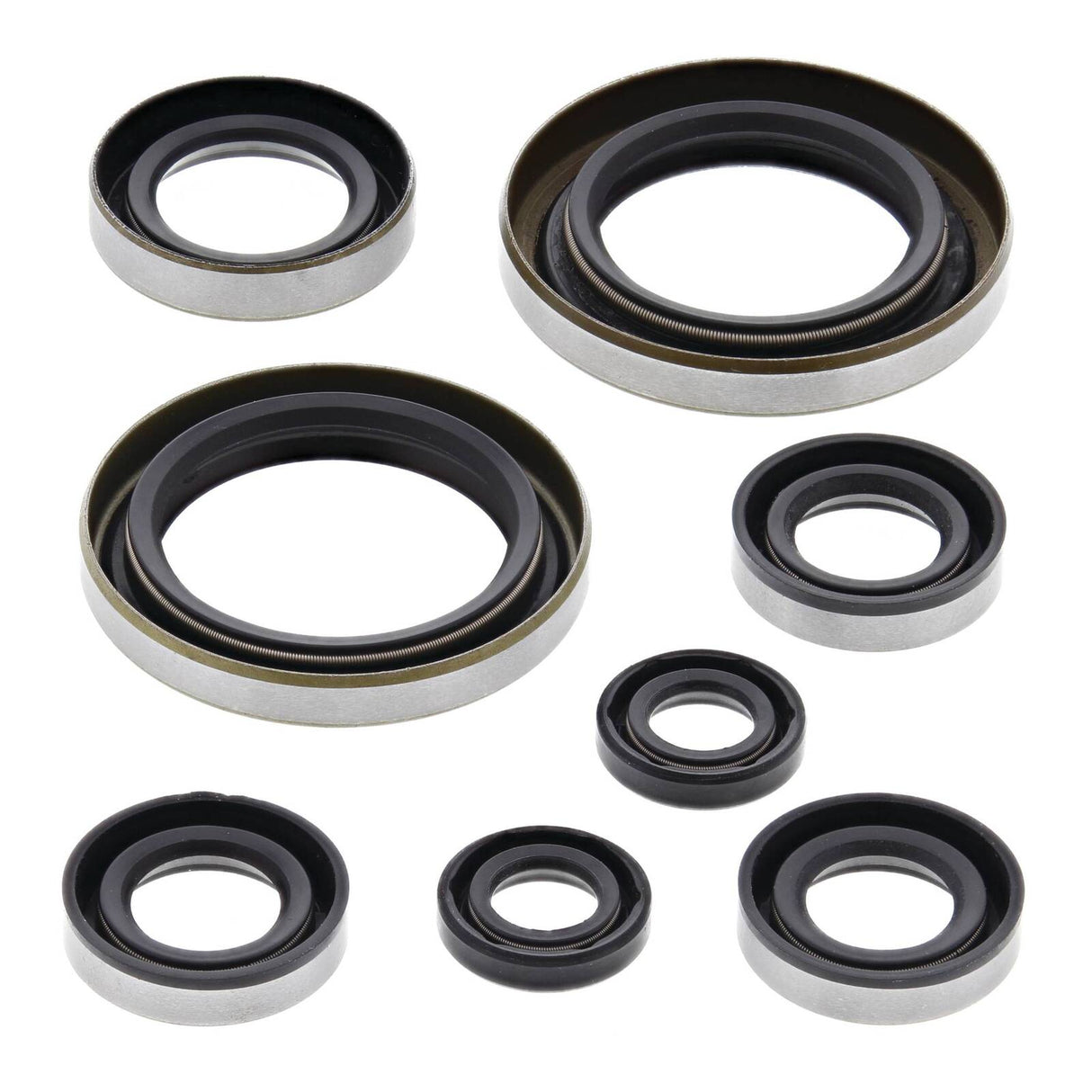 Oil Seal Kit 822274