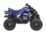 Raptor 110