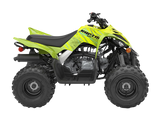 Raptor 110