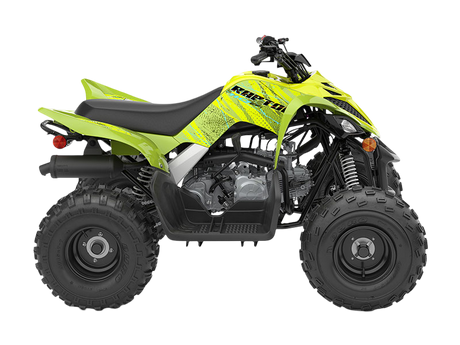 Raptor 110