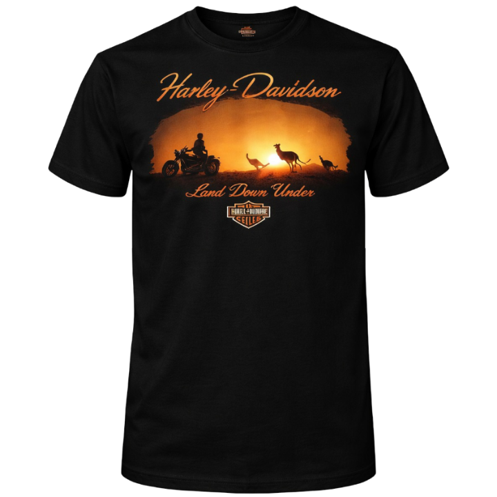 Black t-shirt with a sunset graphic and 'Harley Davidson' branding on a white background