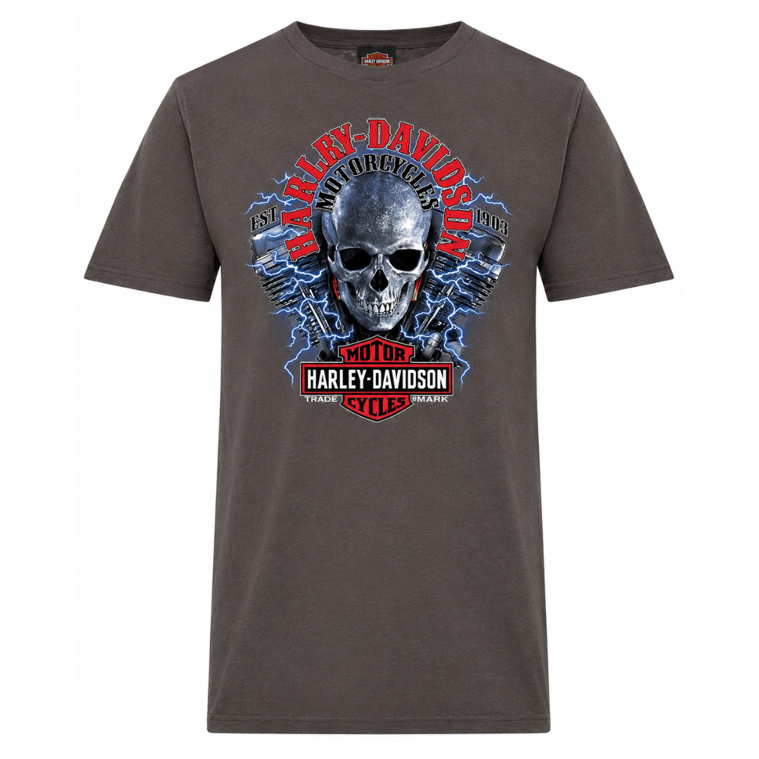 Harley-Davidson Men's Electric T-Shirt - Charcoal