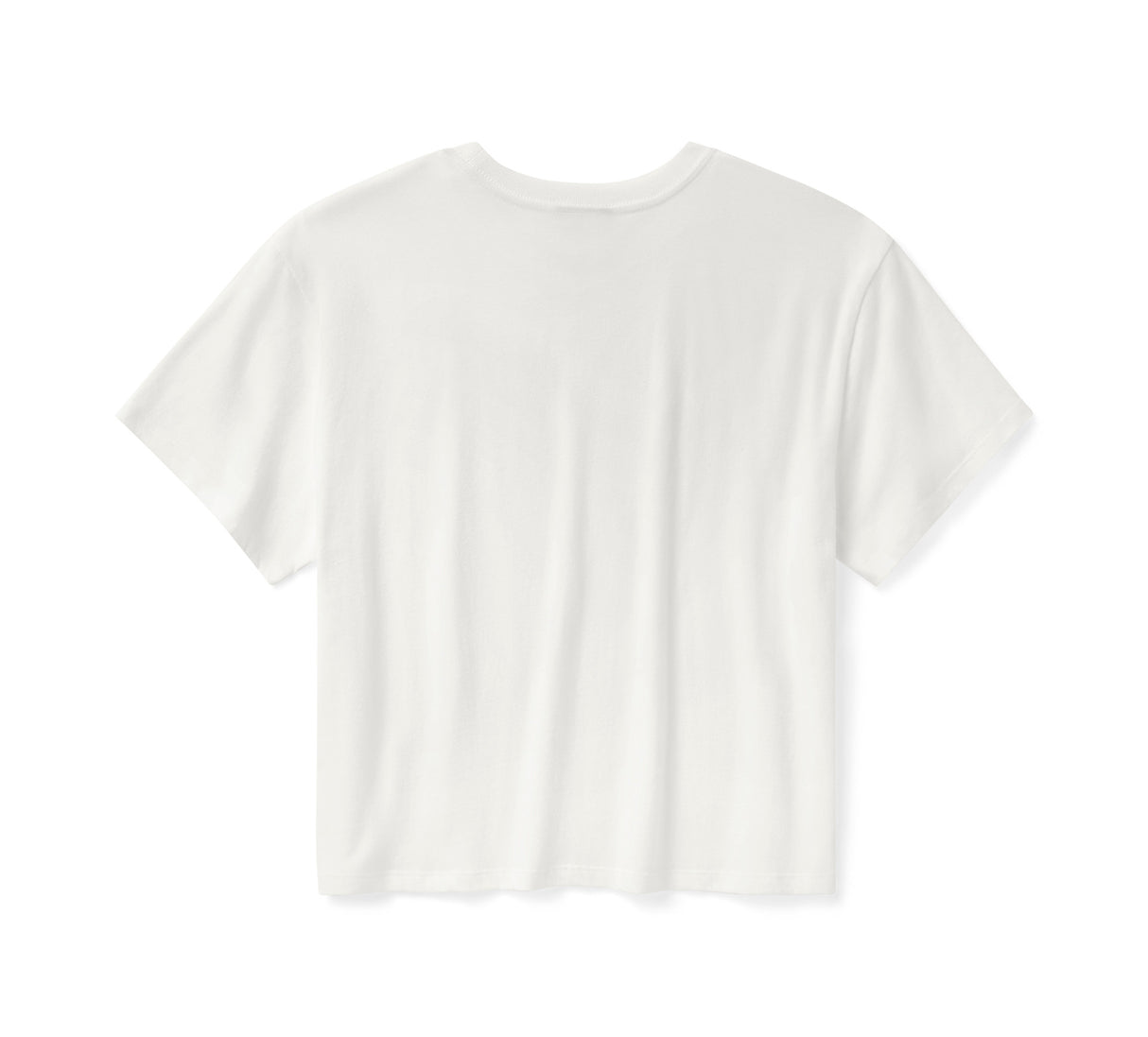White t-shirt on a white background