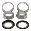 Steering Head Bearing & Seal Kit 22-1070