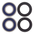 All Balls Racing Wheel Bearing Kit (25-1112)