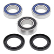 All Balls Racing Wheel Bearing Kit (25-1556)