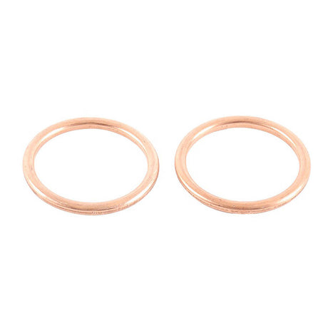 Exhaust Gasket Kit 823018