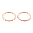 Exhaust Gasket Kit 823048