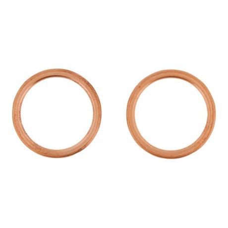Exhaust Gasket Kit 823199