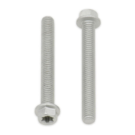 Bolt Euro Torx 6x25mm Flange Bolt (Packet of 10) Refill