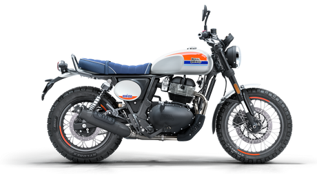 Bear 650