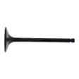 Hot Cams Valve Intake Steel
