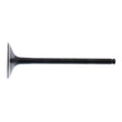 Hot Cams Valve Exhaust Steel