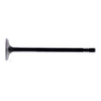 Hot Cams Valve Exhaust Steel