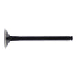Hot Cams Valve Exhaust Steel