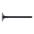 Hot Cams Valve Exhaust Steel
