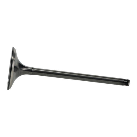 Hot Cams Valve Exhaust - Steel