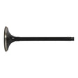 Hot Cams Valve Exhaust - Steel