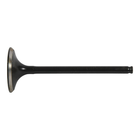 Hot Cams Valve Exhaust - Steel