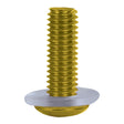 Oxford Screen Screws - Gold