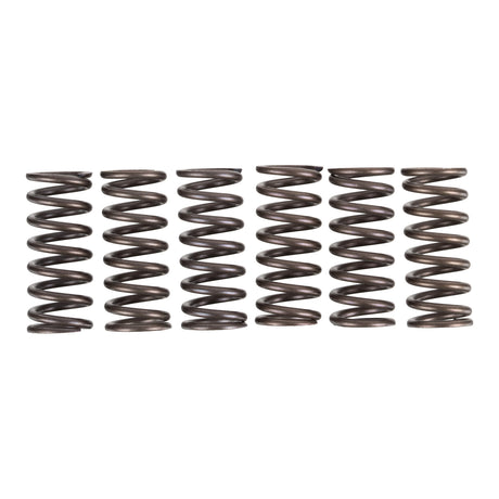 Premier Clutch Springs - Heavy Duty