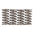 Premier Clutch Springs - Heavy Duty