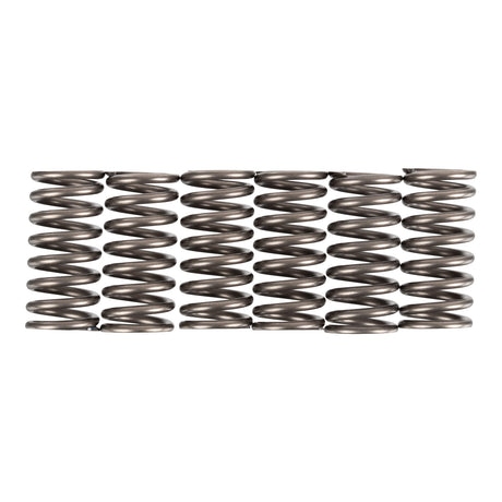 Premier Clutch Springs - Heavy Duty