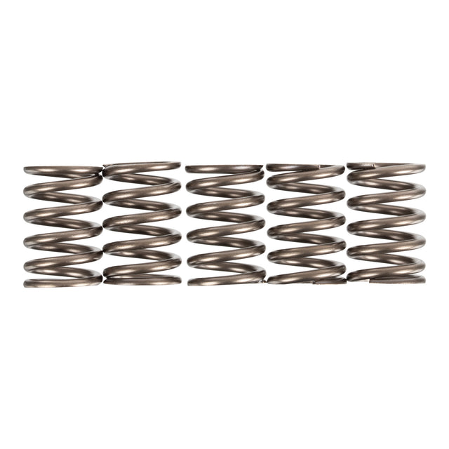 Premier Clutch Springs - Heavy Duty