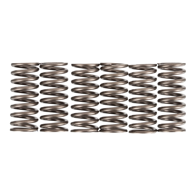 Premier Clutch Springs - Heavy Duty