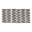 Premier Clutch Springs - Heavy Duty