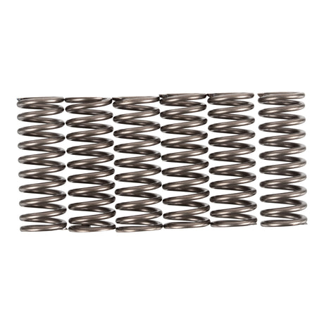 Premier Clutch Springs - Heavy Duty