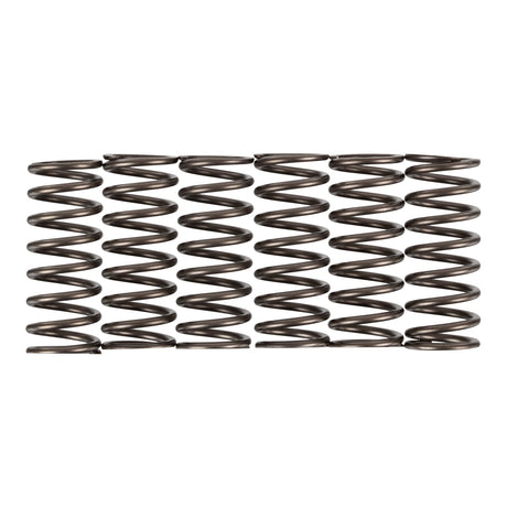 Premier Clutch Springs - Heavy Duty