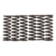 Premier Clutch Springs - Heavy Duty