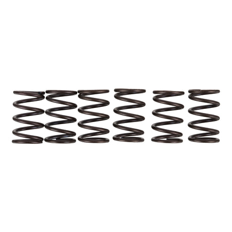 Premier Clutch Springs - Heavy Duty