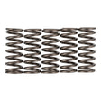 Premier Clutch Springs - Heavy Duty