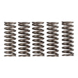 Premier Clutch Springs - Heavy Duty