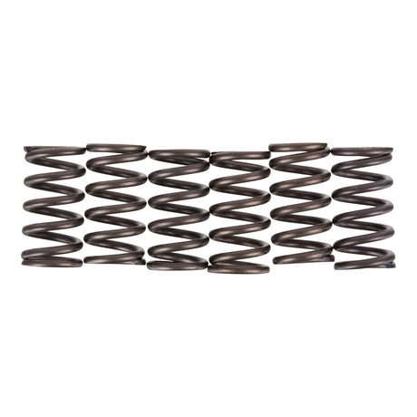 Premier Clutch Springs - Heavy Duty