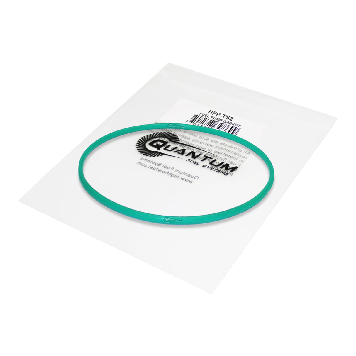 Quantum Fuel Pump Seal Gasket