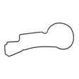 Quantum Fuel Pump Seal Gasket