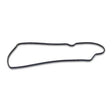 Quantum Fuel Pump Seal Gasket