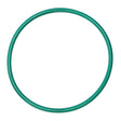 Quantum Fuel Pump Seal Gasket