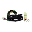 50W Lighting Stator – KTM / HSQ / GG ’16–’24 (RMS010-108598)